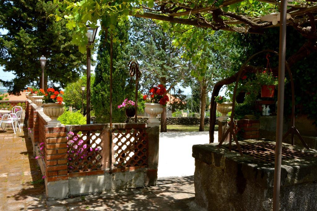 Villa Bonaccorso - Antica E Maestosa Villa Con Piscina Ai Piedi Dell'Etna Viagrande Eksteriør billede