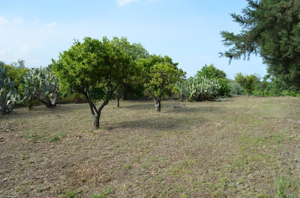 Villa Bonaccorso - Antica E Maestosa Villa Con Piscina Ai Piedi Dell'Etna Viagrande Eksteriør billede