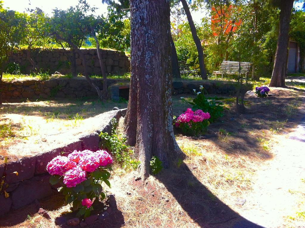 Villa Bonaccorso - Antica E Maestosa Villa Con Piscina Ai Piedi Dell'Etna Viagrande Eksteriør billede