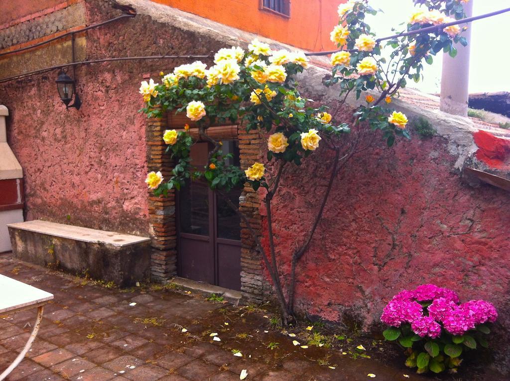 Villa Bonaccorso - Antica E Maestosa Villa Con Piscina Ai Piedi Dell'Etna Viagrande Eksteriør billede