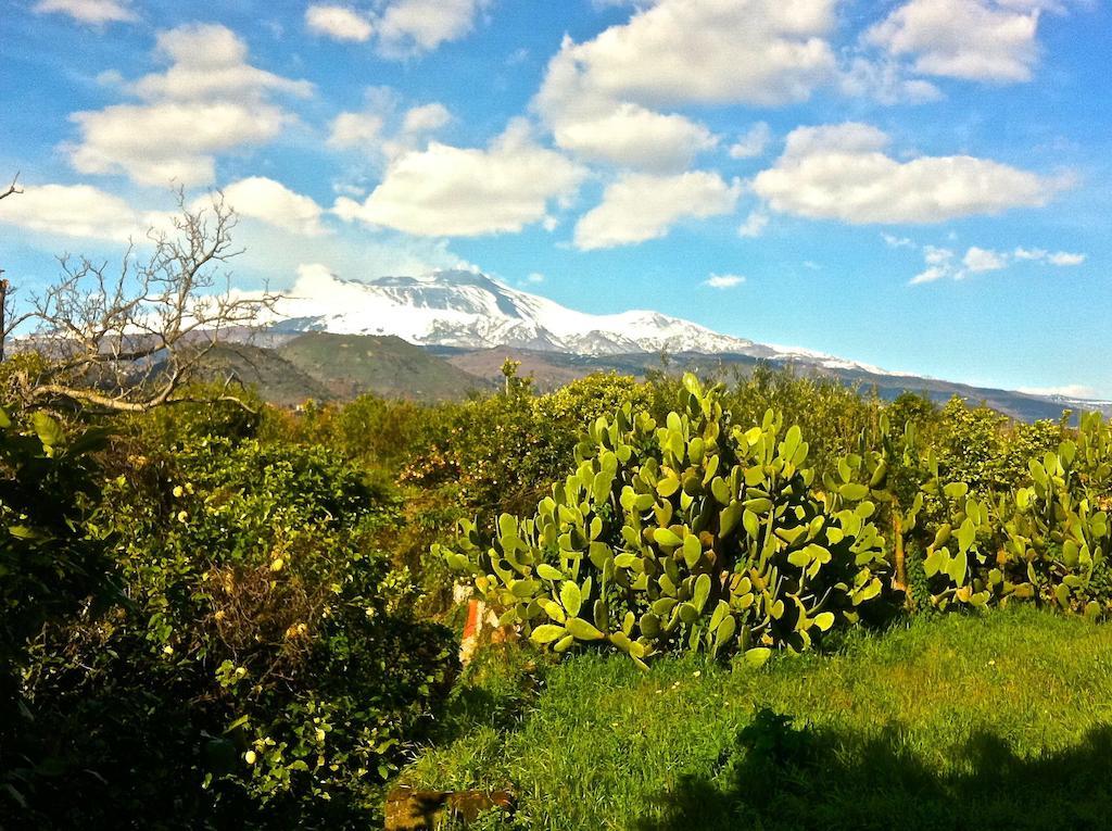 Villa Bonaccorso - Antica E Maestosa Villa Con Piscina Ai Piedi Dell'Etna Viagrande Eksteriør billede