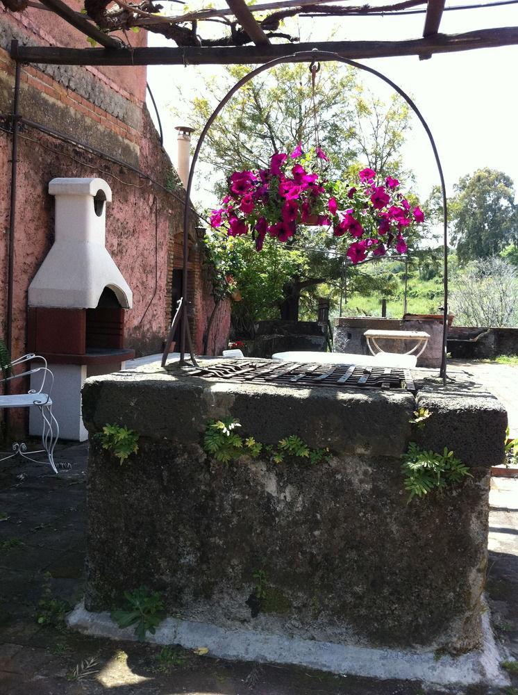 Villa Bonaccorso - Antica E Maestosa Villa Con Piscina Ai Piedi Dell'Etna Viagrande Eksteriør billede