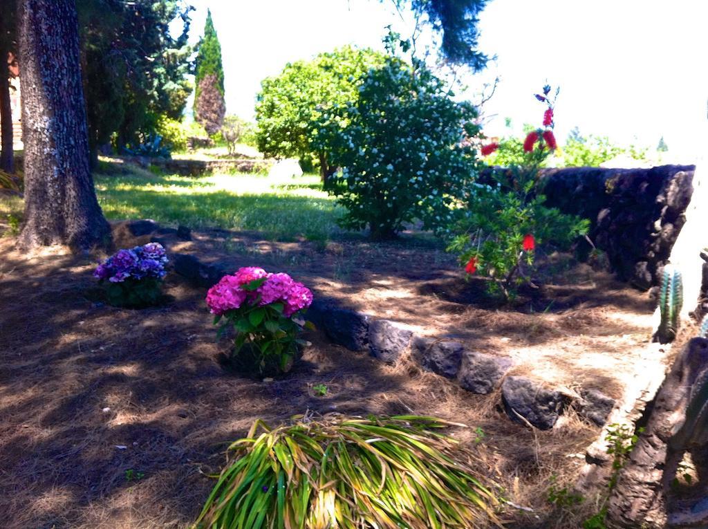 Villa Bonaccorso - Antica E Maestosa Villa Con Piscina Ai Piedi Dell'Etna Viagrande Eksteriør billede